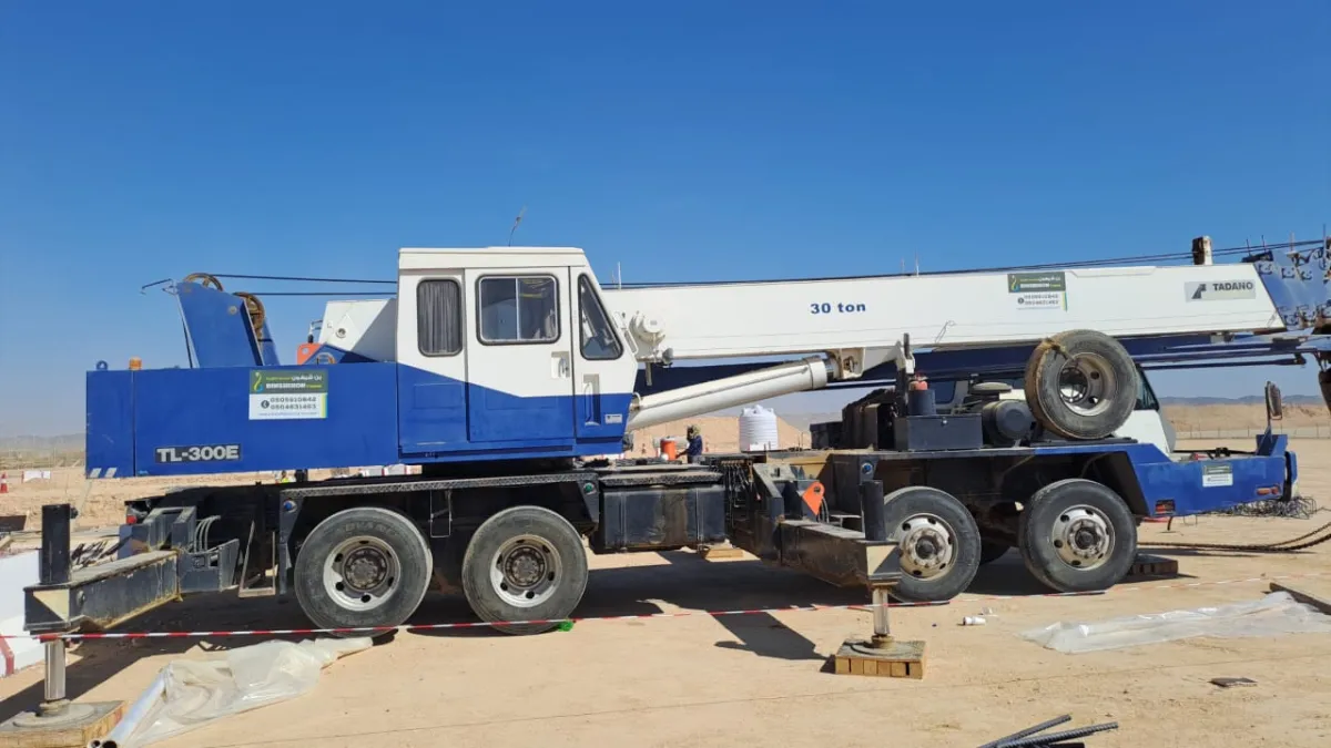 Crane 30 ton — Tadano · TL-300E · 2007 · White / Blue